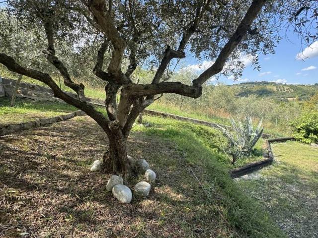 Casa indipendente in vendita a San Paolo di Jesi AN