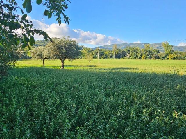 Casa indipendente in vendita a San Severino Marche MC