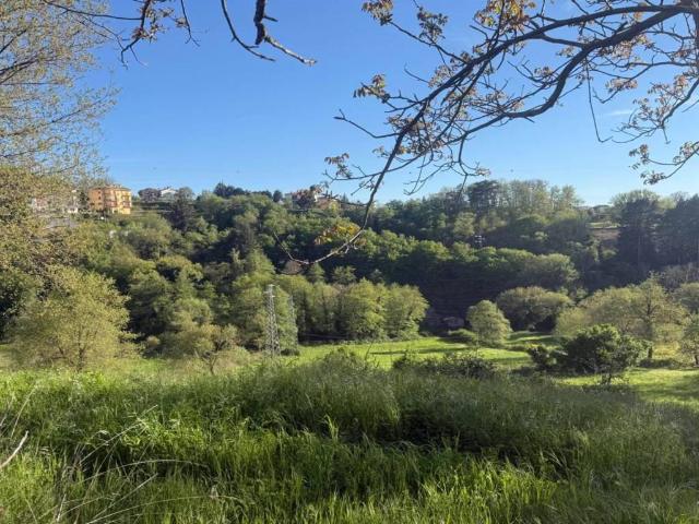 Casa indipendente in vendita a Santo Stefano di Rogliano CS
