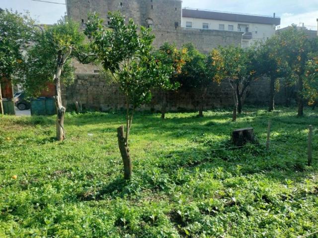 Casa indipendente in vendita a Santa Maria a Vico CE