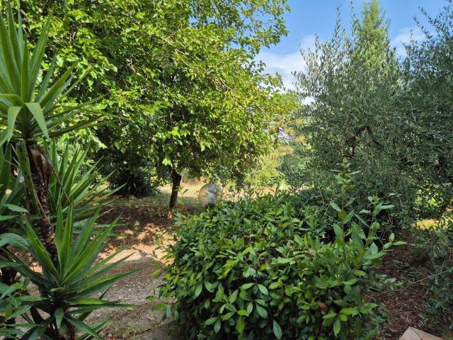 Casa indipendente in vendita a Santa Maria a Monte PI