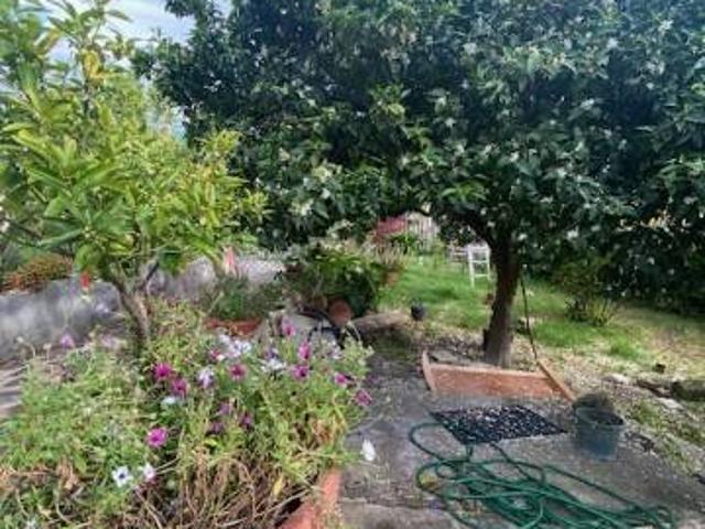 Casa indipendente in vendita a Sant'Ambrogio sul Garigliano FR