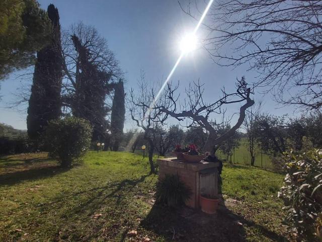 Casa indipendente in vendita a Sant'Elpidio a Mare FM