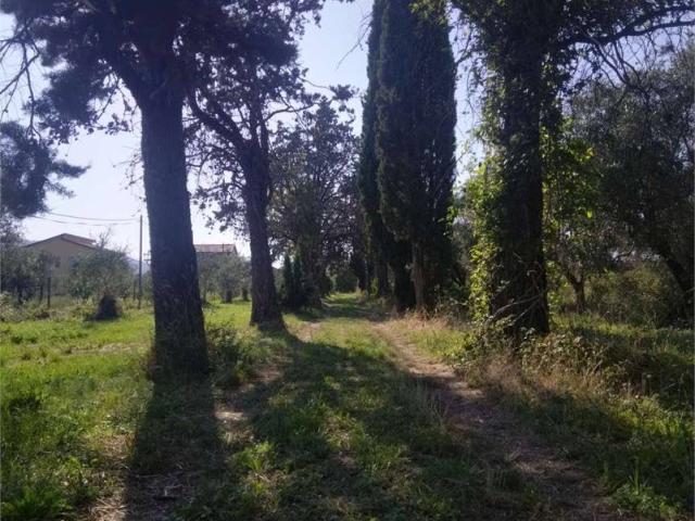 Casa indipendente in vendita a Sarzana SP