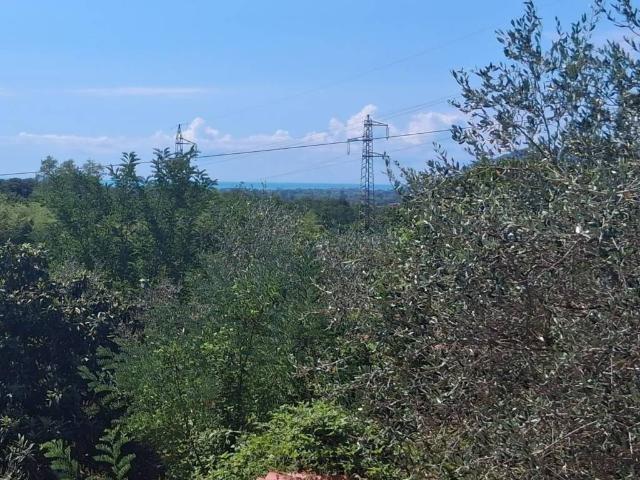Casa indipendente in vendita a Sarzana SP