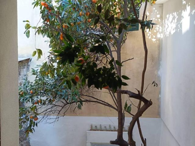 Casa indipendente in vendita a Sarzana SP