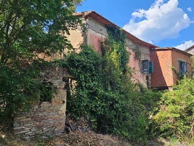 Casa indipendente in vendita a Sassetta LI