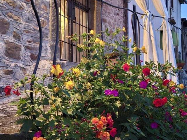Casa indipendente in vendita a Scansano GR