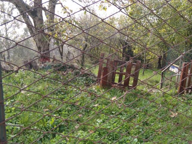 Casa indipendente in vendita a Sellano PG