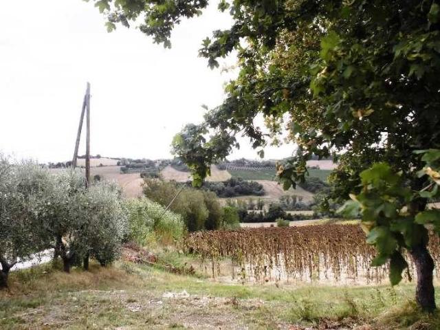 Casa indipendente in vendita a Senigallia AN