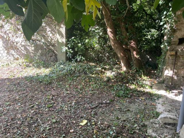 Casa indipendente in vendita a Sesta Godano SP