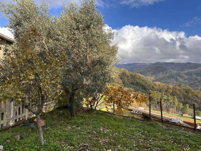 Casa indipendente in vendita a Sesta Godano SP