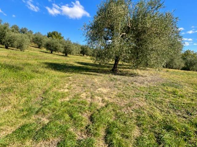 Casa indipendente in vendita a Siena piazza Tolomei