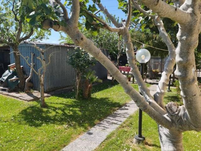 Casa indipendente in vendita a Signa FI