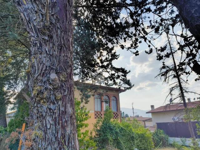 Casa indipendente in vendita a Spoleto PG