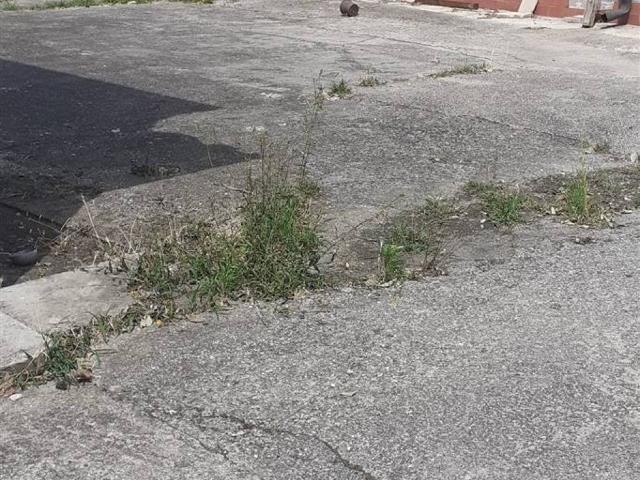 Casa indipendente in vendita a Poggio Rusco MN