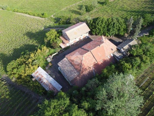 Casa indipendente in vendita a Ponzano Monferrato AL