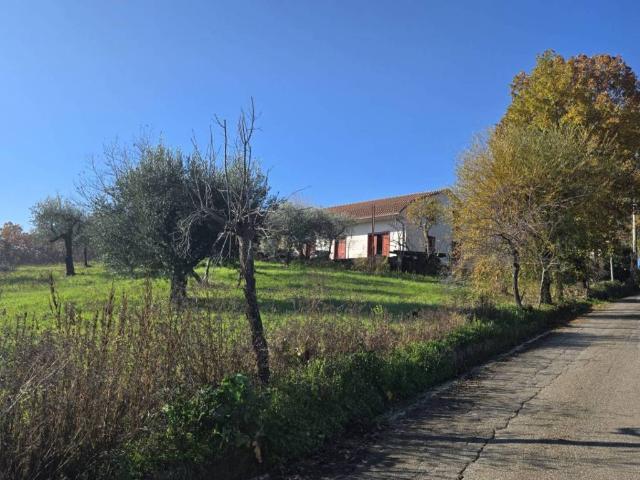 Casa indipendente in vendita a Paternopoli AV
