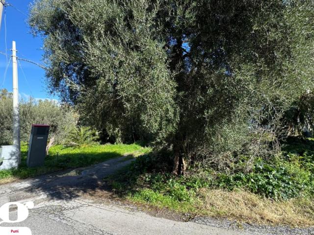 Casa indipendente in vendita a Patti