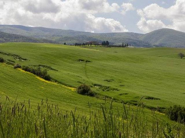Casa indipendente in vendita a Palaia, Montefoscoli