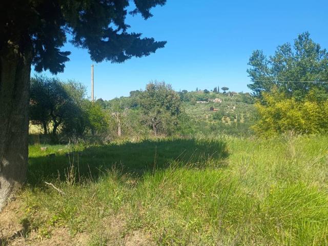 Casa indipendente in vendita a Palaia PI