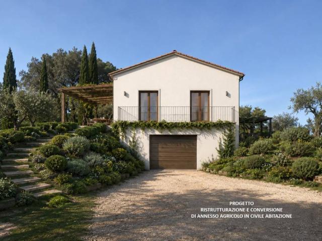 Casa indipendente in vendita a Palaia PI