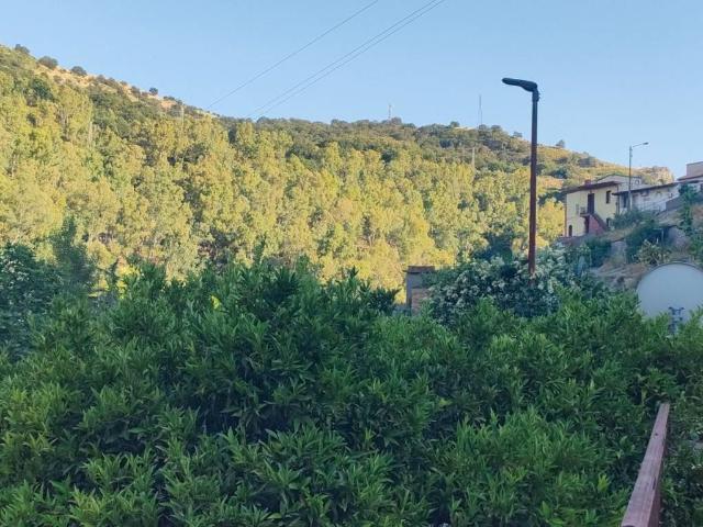Casa indipendente in vendita a Palizzi RC
