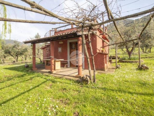 Casa indipendente in vendita a Palombara Sabina RM