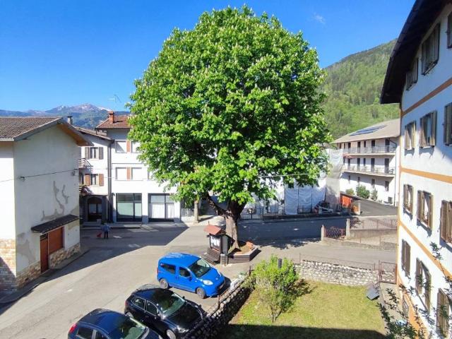 Casa indipendente in vendita a Paluzza UD