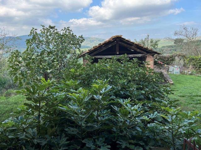 Casa indipendente in vendita a Panicale PG