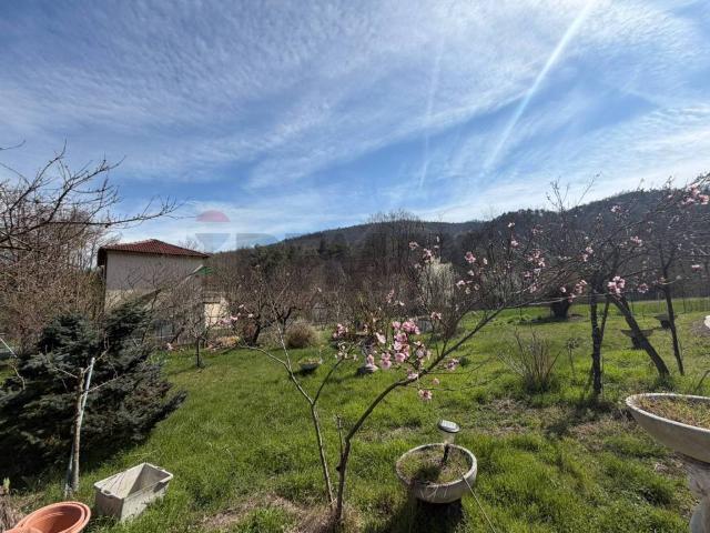 Casa indipendente in vendita a Pareto AL