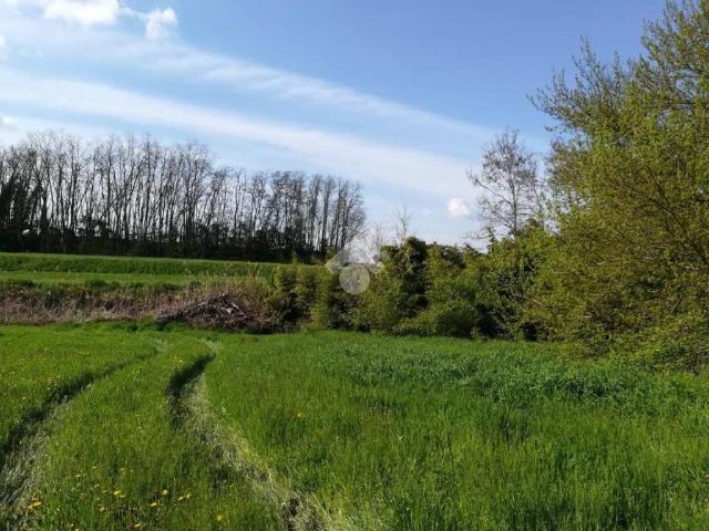 Casa indipendente in vendita a Pegognaga MN
