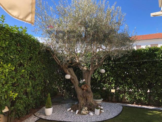 Casa indipendente in vendita a Pescara PE