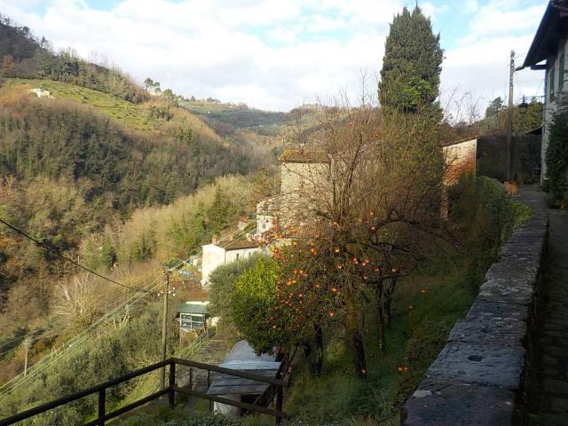 Casa indipendente in vendita a Pescia PT