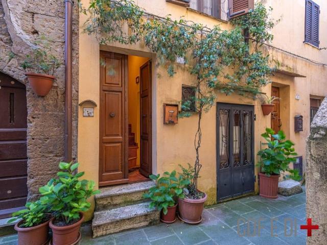 Casa indipendente in vendita a Pitigliano GR
