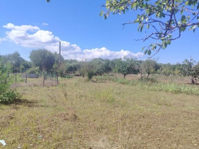 Casa indipendente in vendita a Pizzo