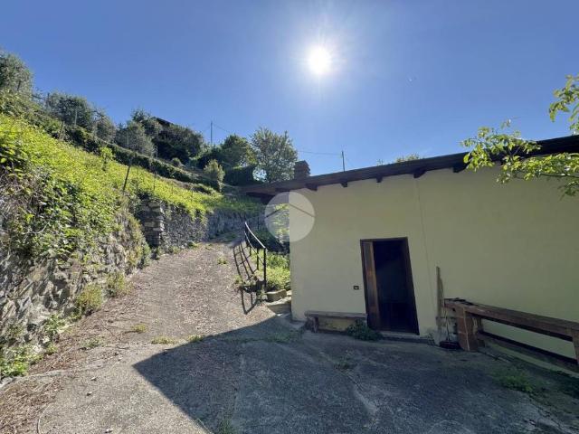 Casa indipendente in vendita a Piancogno BS
