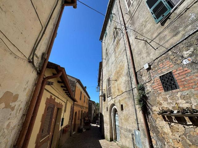 Casa indipendente in vendita a Piansano VT