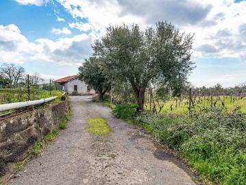 Casa indipendente in vendita a Piedimonte Etneo CT