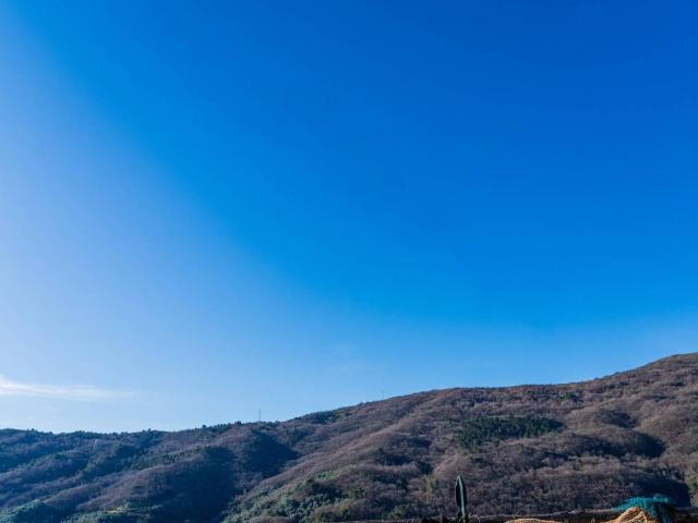 Casa indipendente in vendita a Pietrabruna IM