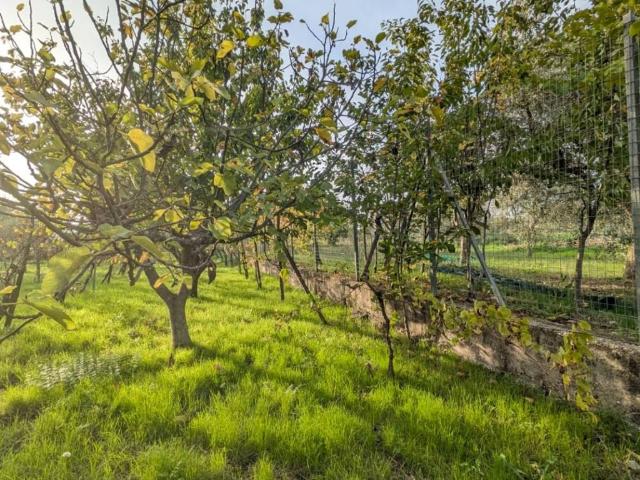 Casa indipendente in vendita a Pietrelcina BN