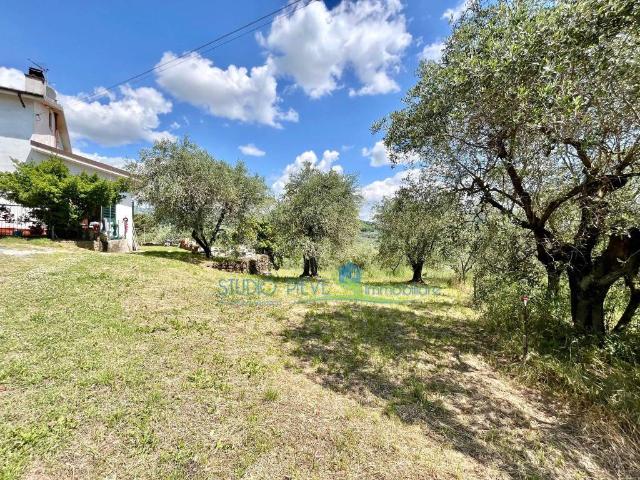 Casa indipendente in vendita a Pieve a Nievole PT