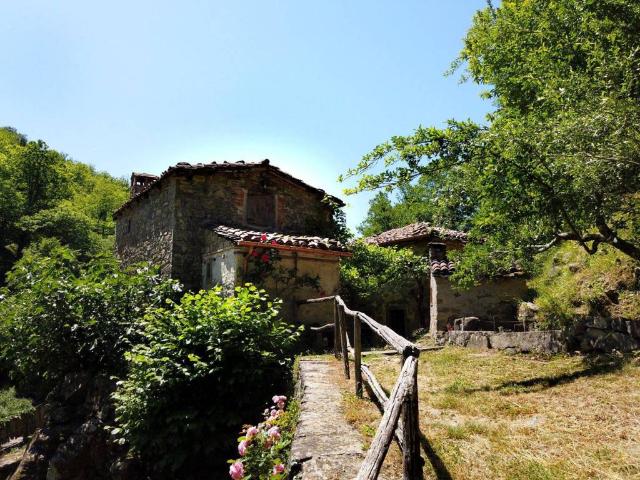 Casa indipendente in vendita a Pieve Fosciana LU