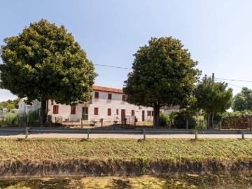 Casa indipendente in vendita a Piove di Sacco PD
