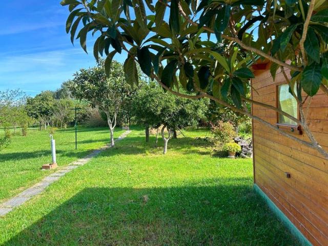 Casa indipendente in vendita a Pisa PI