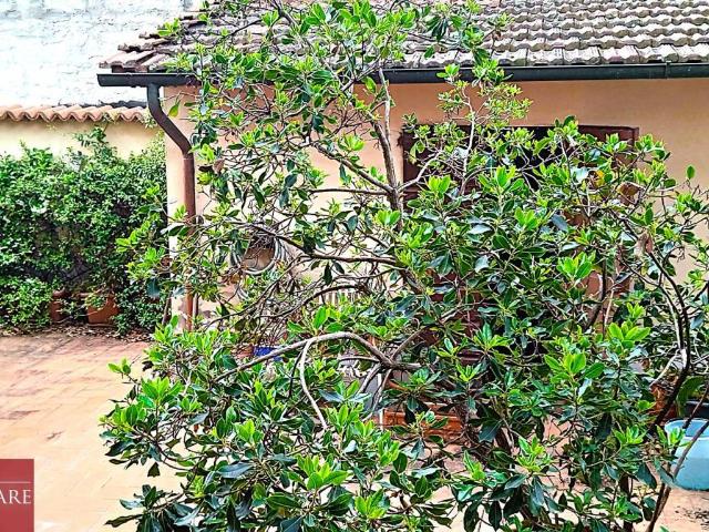 Casa indipendente in vendita a Prato PO