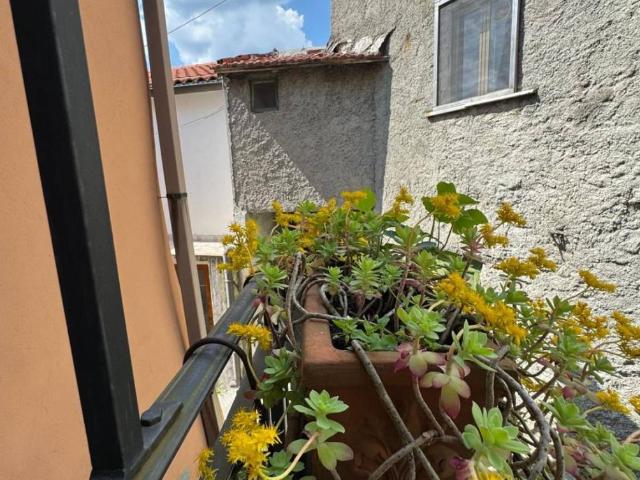 Casa indipendente in vendita a Quiliano SV