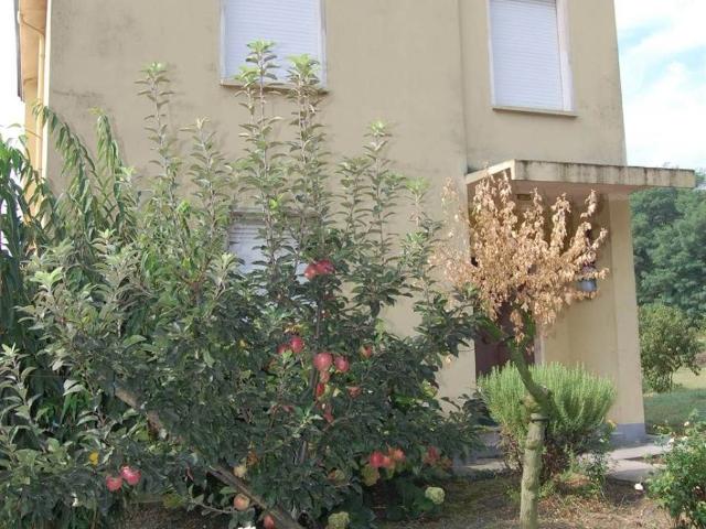 Casa indipendente in vendita a Quistello MN