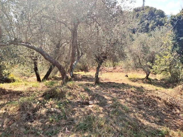 Casa indipendente in vendita a Rocchetta di Vara SP