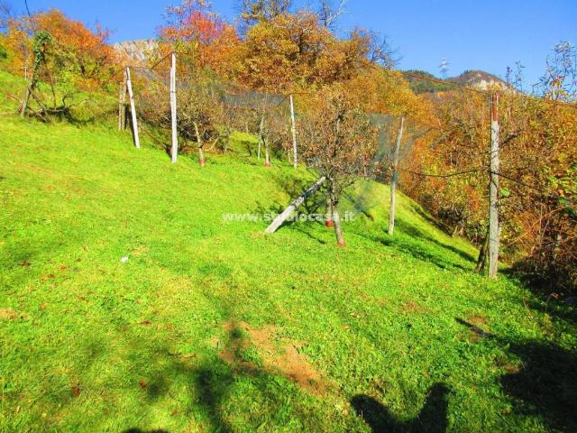 Casa indipendente in vendita a Rogno BG